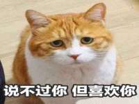 宁夏博强机电设备有限公司
