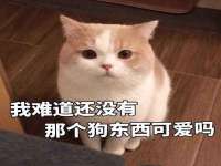 宁夏博强机电设备有限公司