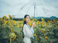 宁夏博强机电设备有限公司