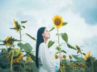 宁夏博强机电设备有限公司