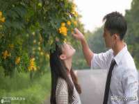 宁夏博强机电设备有限公司