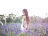宁夏博强机电设备有限公司