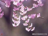 宁夏博强机电设备有限公司