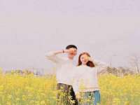 宁夏博强机电设备有限公司