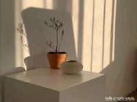 宁夏博强机电设备有限公司