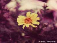 宁夏博强机电设备有限公司
