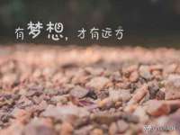 宁夏博强机电设备有限公司