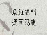 宁夏博强机电设备有限公司