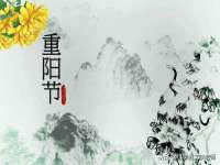 宁夏博强机电设备有限公司