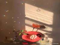 宁夏博强机电设备有限公司