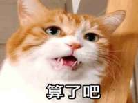 宁夏博强机电设备有限公司