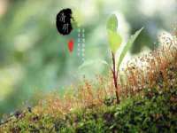 宁夏博强机电设备有限公司