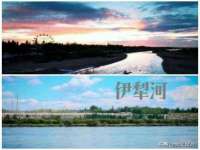 宁夏博强机电设备有限公司