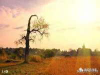 宁夏博强机电设备有限公司