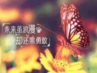 宁夏博强机电设备有限公司