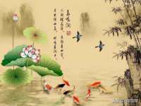 宁夏博强机电设备有限公司