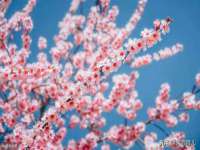 宁夏博强机电设备有限公司