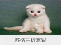 宁夏博强机电设备有限公司