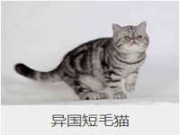 宁夏博强机电设备有限公司