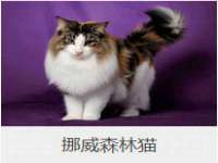 宁夏博强机电设备有限公司