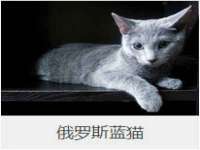 宁夏博强机电设备有限公司