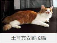 宁夏博强机电设备有限公司