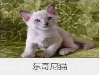 宁夏博强机电设备有限公司