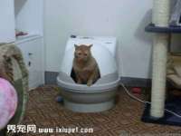 宁夏博强机电设备有限公司