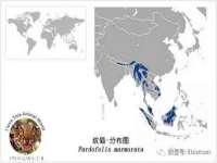 宁夏博强机电设备有限公司