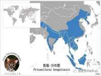 宁夏博强机电设备有限公司