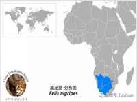 宁夏博强机电设备有限公司
