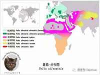 宁夏博强机电设备有限公司