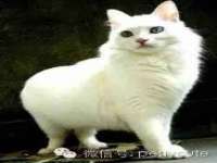 宁夏博强机电设备有限公司