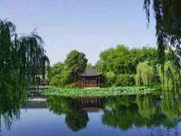 宁夏博强机电设备有限公司