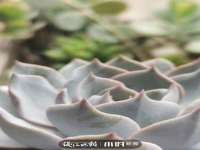宁夏博强机电设备有限公司