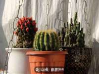宁夏博强机电设备有限公司