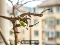 宁夏博强机电设备有限公司