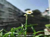 宁夏博强机电设备有限公司