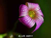 宁夏博强机电设备有限公司