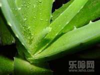 宁夏博强机电设备有限公司