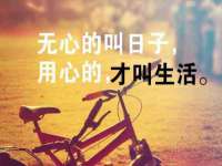 宁夏博强机电设备有限公司