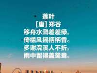 宁夏博强机电设备有限公司