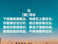 宁夏博强机电设备有限公司