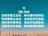 宁夏博强机电设备有限公司