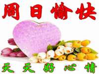 宁夏博强机电设备有限公司