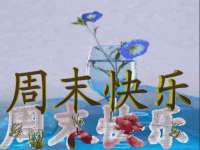 宁夏博强机电设备有限公司