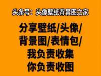 宁夏博强机电设备有限公司