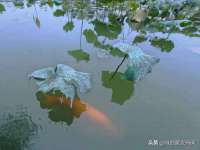 宁夏博强机电设备有限公司