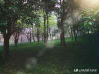 宁夏博强机电设备有限公司