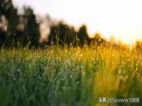 宁夏博强机电设备有限公司
